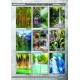 Фотопечать 1 фасада Феникс