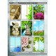 Фотопечать 1 фасада Феникс