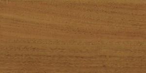 орех лесной